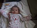 DSC00594.JPG